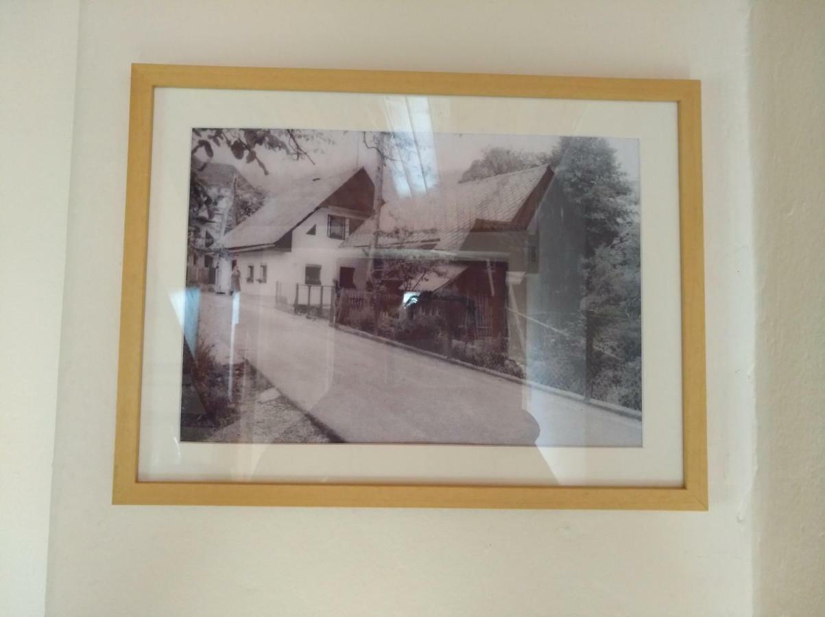 Apartma Pr Martin Begunje na Gorenjskem Buitenkant foto
