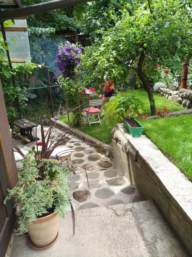 Apartma Pr Martin Begunje na Gorenjskem Buitenkant foto